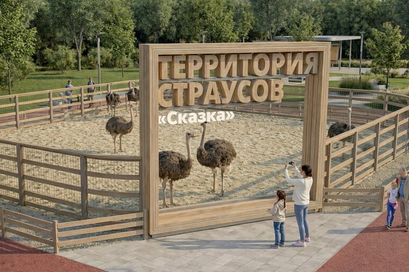 Страусиная ферма