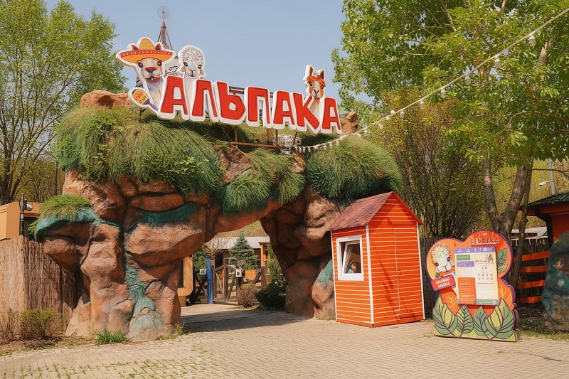 Альпака